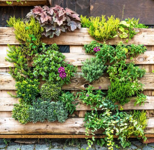 How to Make a Vertical Pallet Planter for a Vegetable and Herb Garden